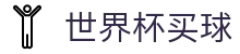 2026国际足联世界杯买球（中国）官方网站_买球网_FIFA World Cup官网